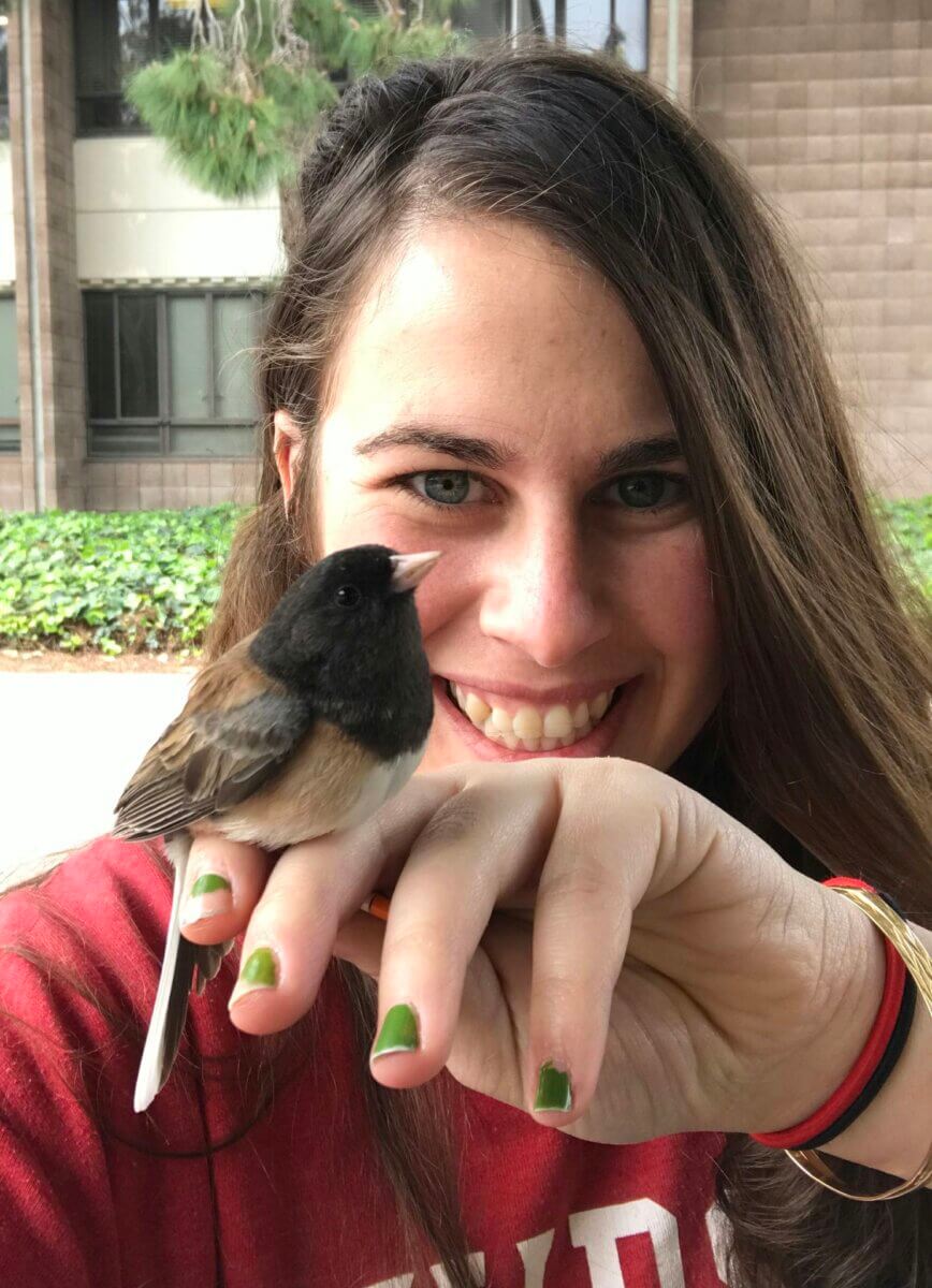 Eleanor Diamant with one of the dark-eyed juncos living at UCLA