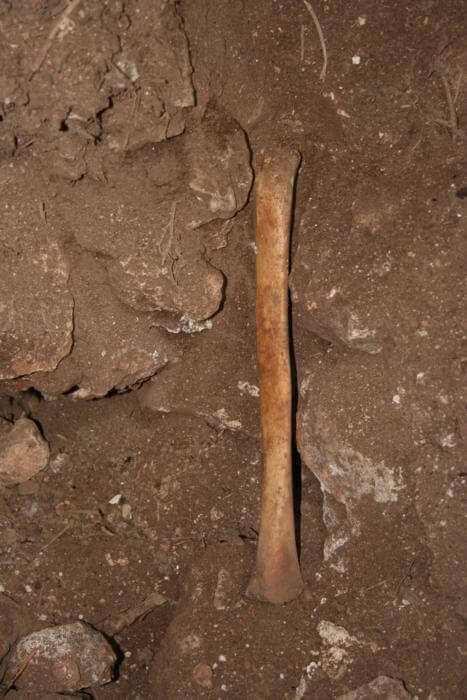 Human bone on surface, inside the cave.