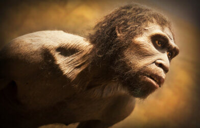 Artist's concept of a Neanderthal.