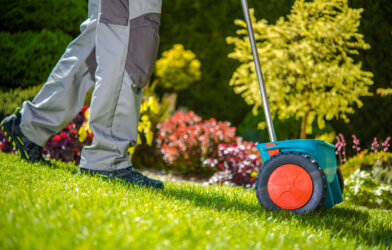 Man spreading fertilizer on his lawn and garden