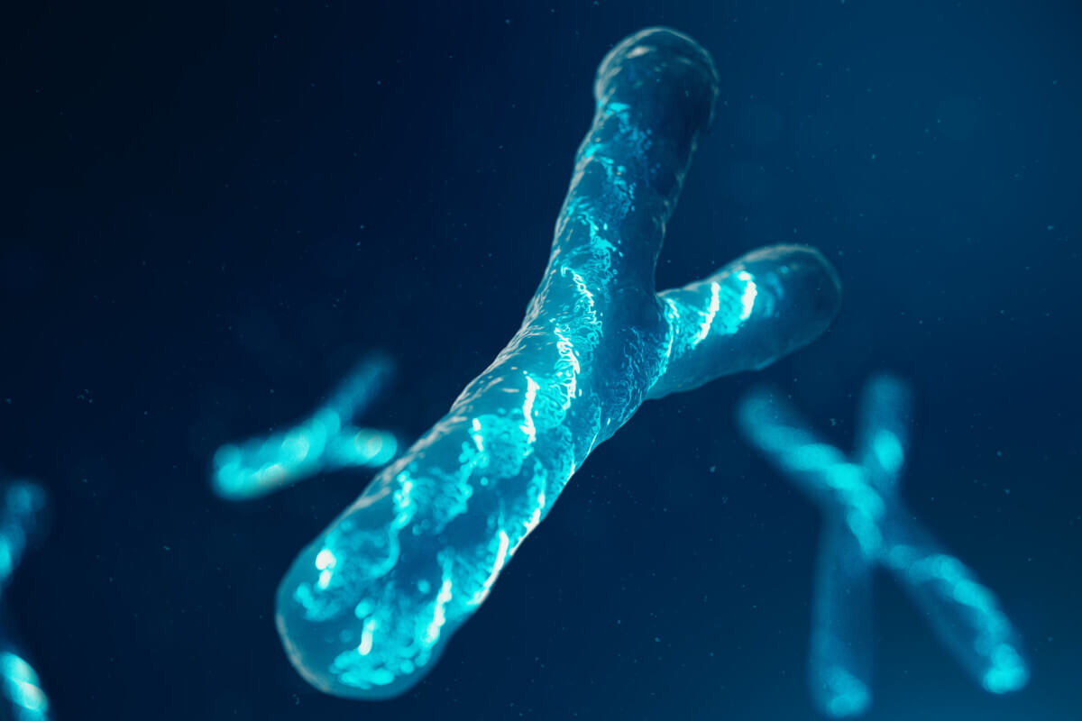 Y-Chromosomes with DNA carrying the genetic code. Genetics concept, medicine concept. Future, genetic mutations. Changing the genetic code at the biological level. 3D illustration