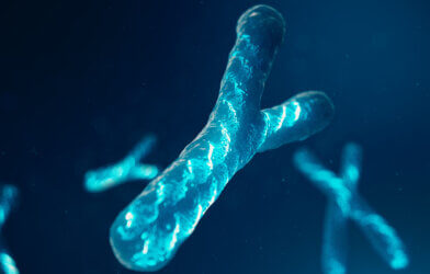 Y-Chromosomes with DNA carrying the genetic code.
