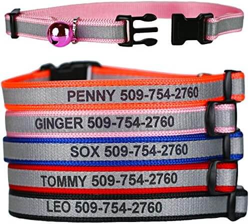 GoTags Personalized Engraved Reflective Cat Collar