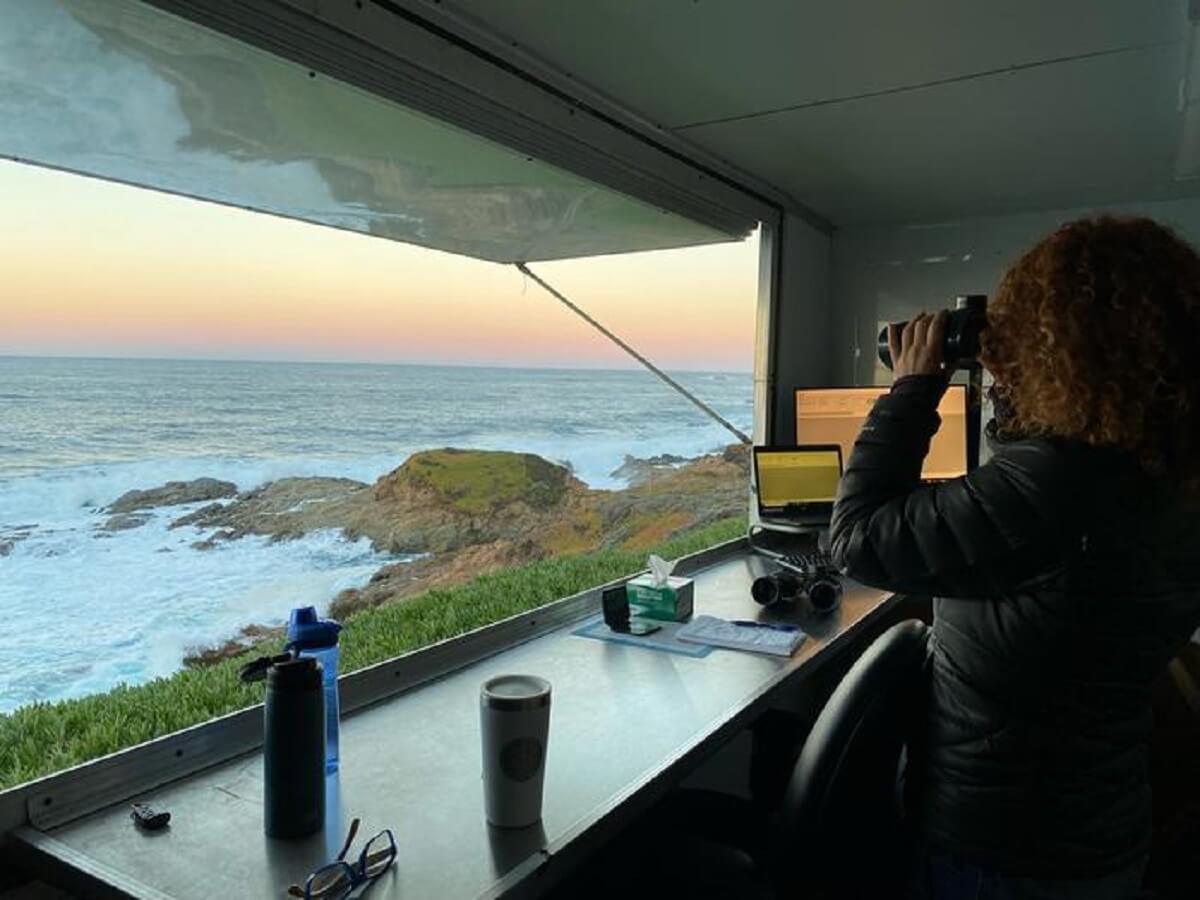 A Southwest Fisheries Science Center researcher scans for gray whales during a survey as part of the long-term population monitoring research. 