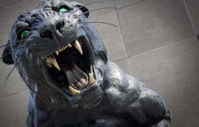 Carolina Panthers Mascot Statue
