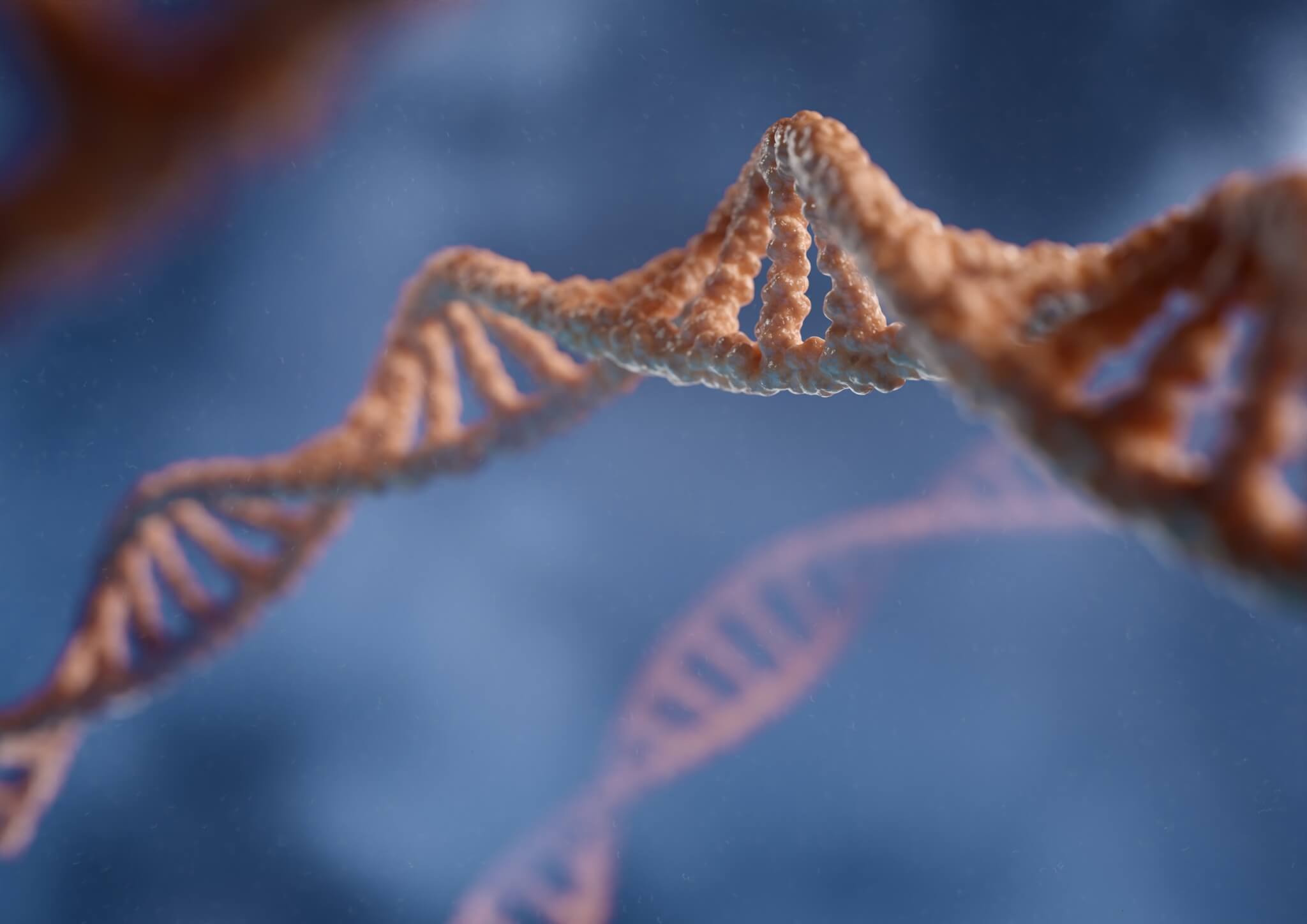 A 3D renderelés a DNS kettős hélix szerkezetét rögzíti kék háttér előtt, kiemelve az élet genetikai kódjának összetett szépségét