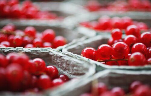 Cranberries in cartons.