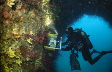 Diver underway using seawaters smell device on cave sponges.