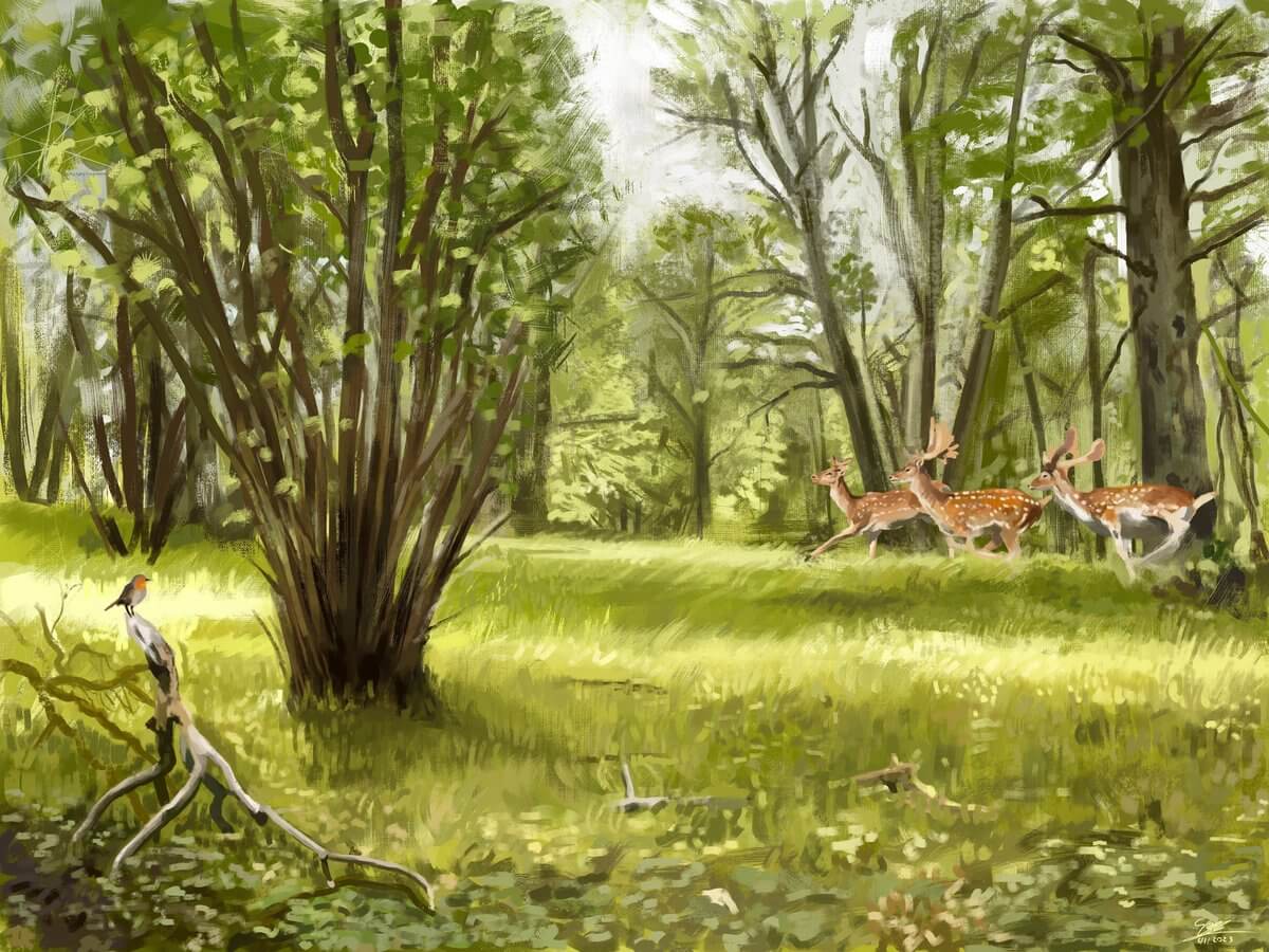 Illustration of deer in pre-human Europe