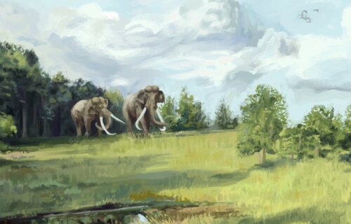 Illustration of elephants in pre-human Europe