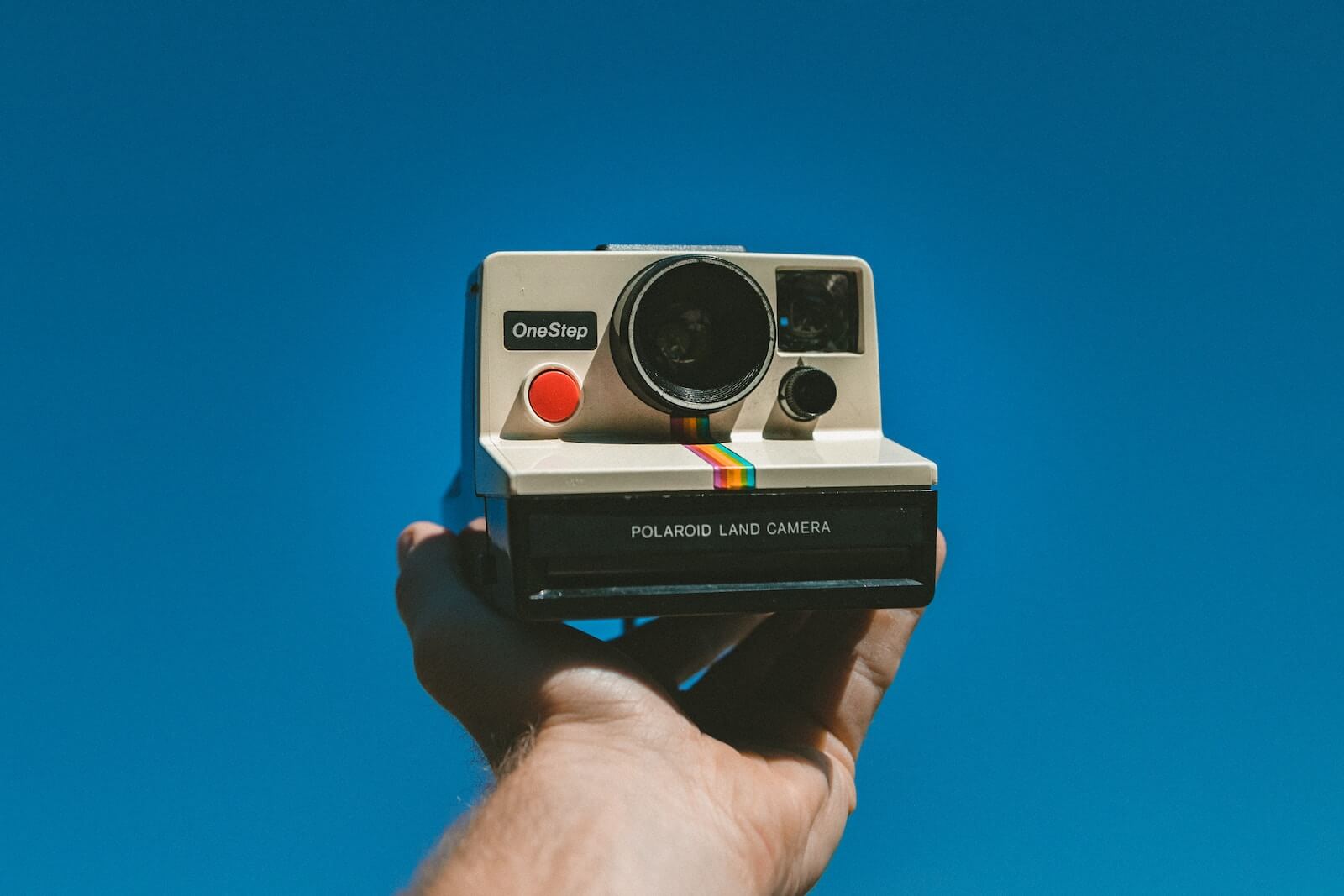 The Best Instant Cameras for 2024