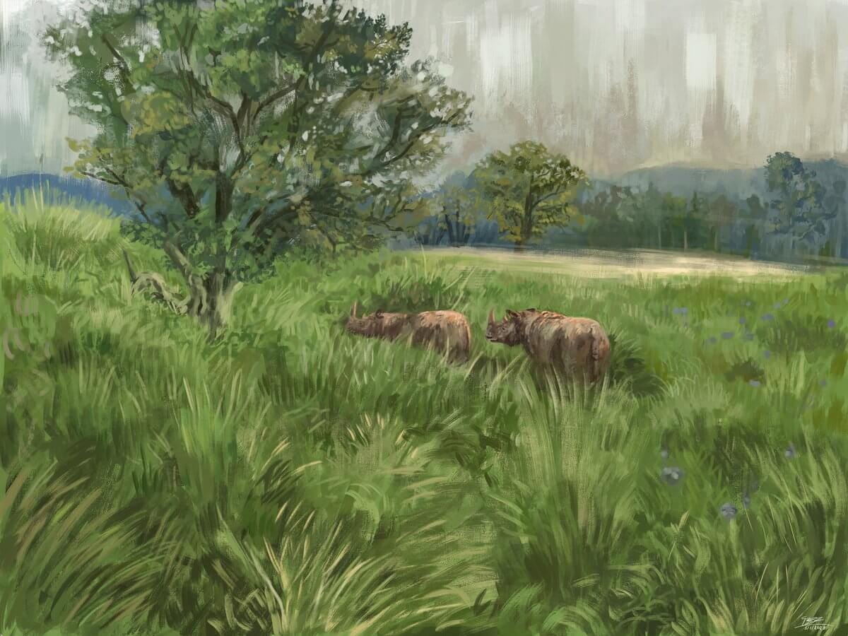 Illustration of rhinos in pre-human Europe