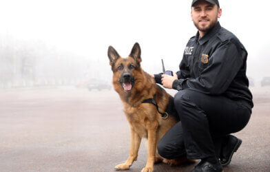 A police officer with a German Shepherd