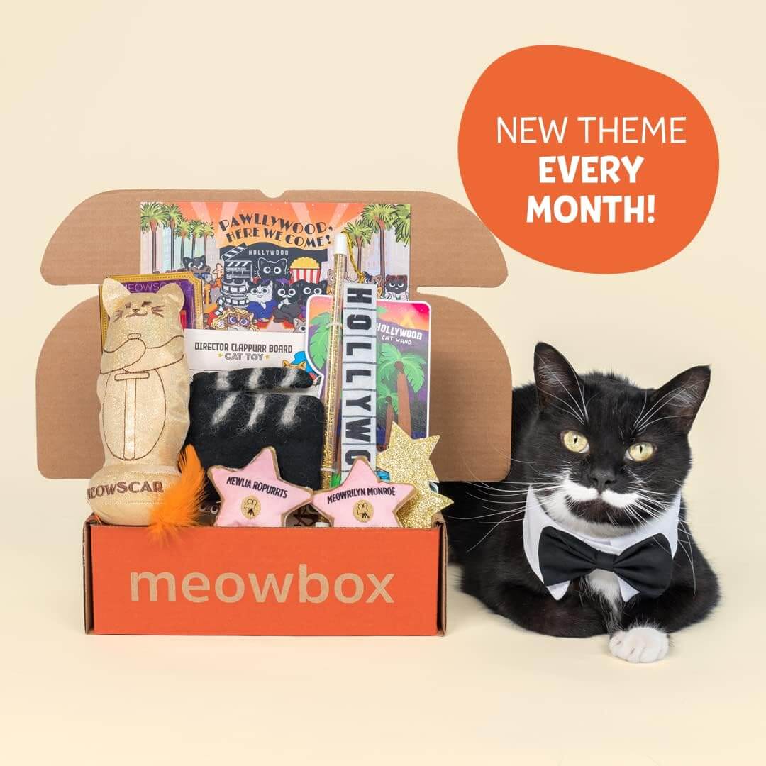 Meowbox Monthly Subscription Box
