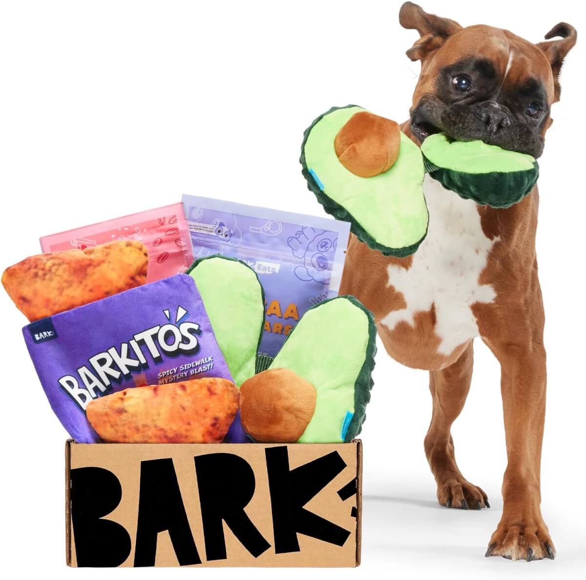 Bark Box Themed Monthly Subscription