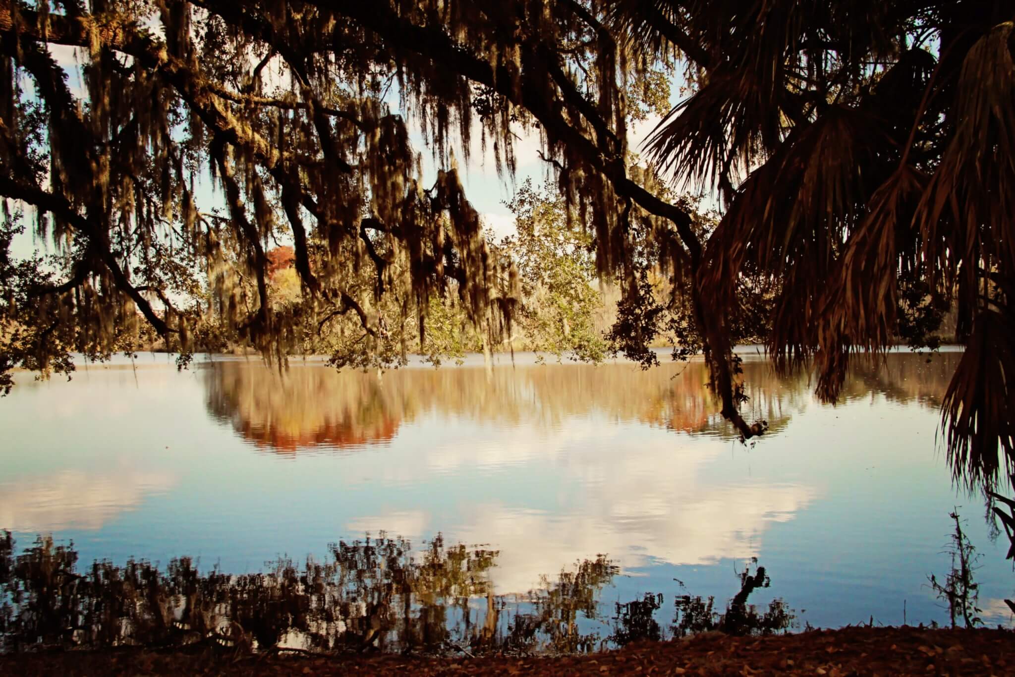 Gainesville, Florida marsh