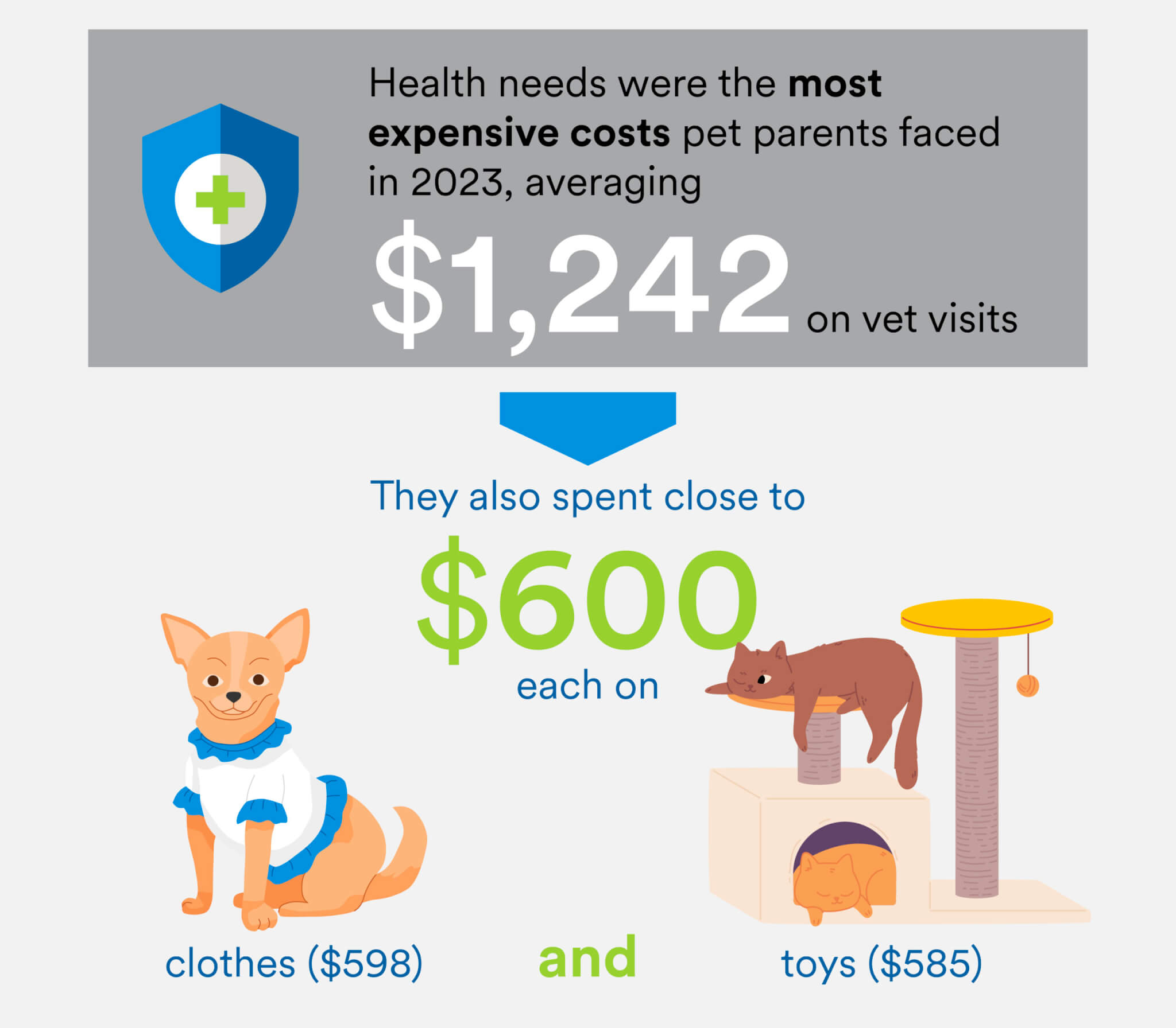 Infographic on annual pet expenses 