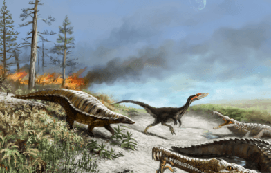 Reconstruction of a Late Triassic ecosystem from Ghost Ranch, New Mexico