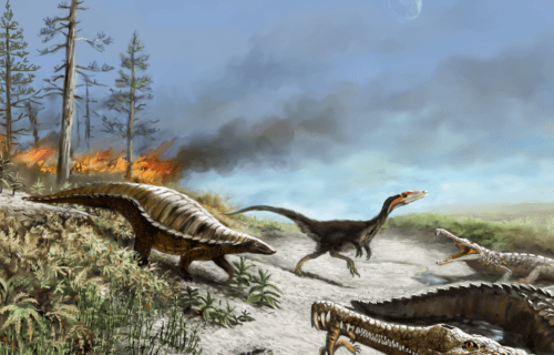 Reconstruction of a Late Triassic ecosystem from Ghost Ranch, New Mexico