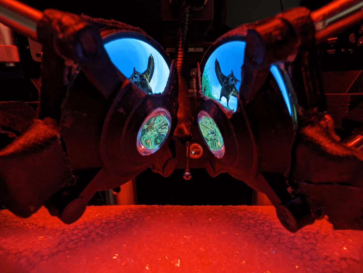 A view through the new miniature VR goggles.
