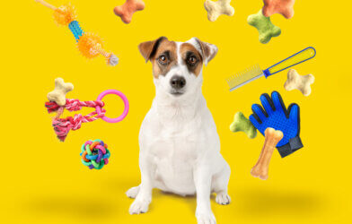 A dog surrounded by toys and pet supplies