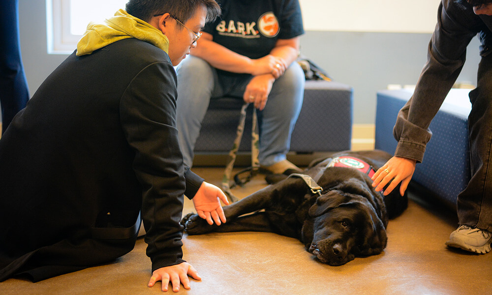 therapy dog with young men
