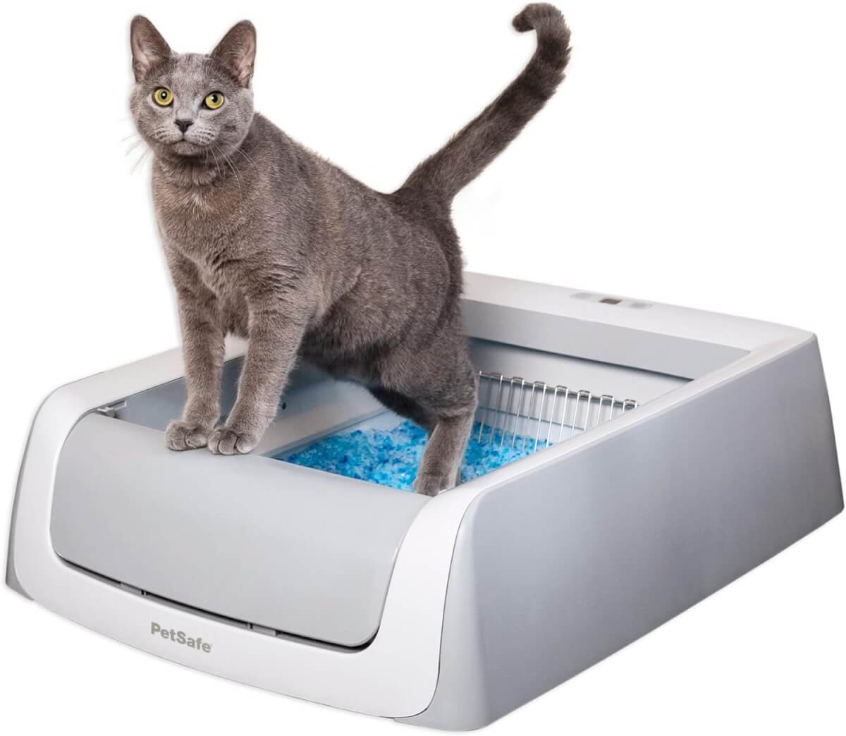 PetSafe ScoopFree Complete Smart Self-Cleaning Cat Litter Box