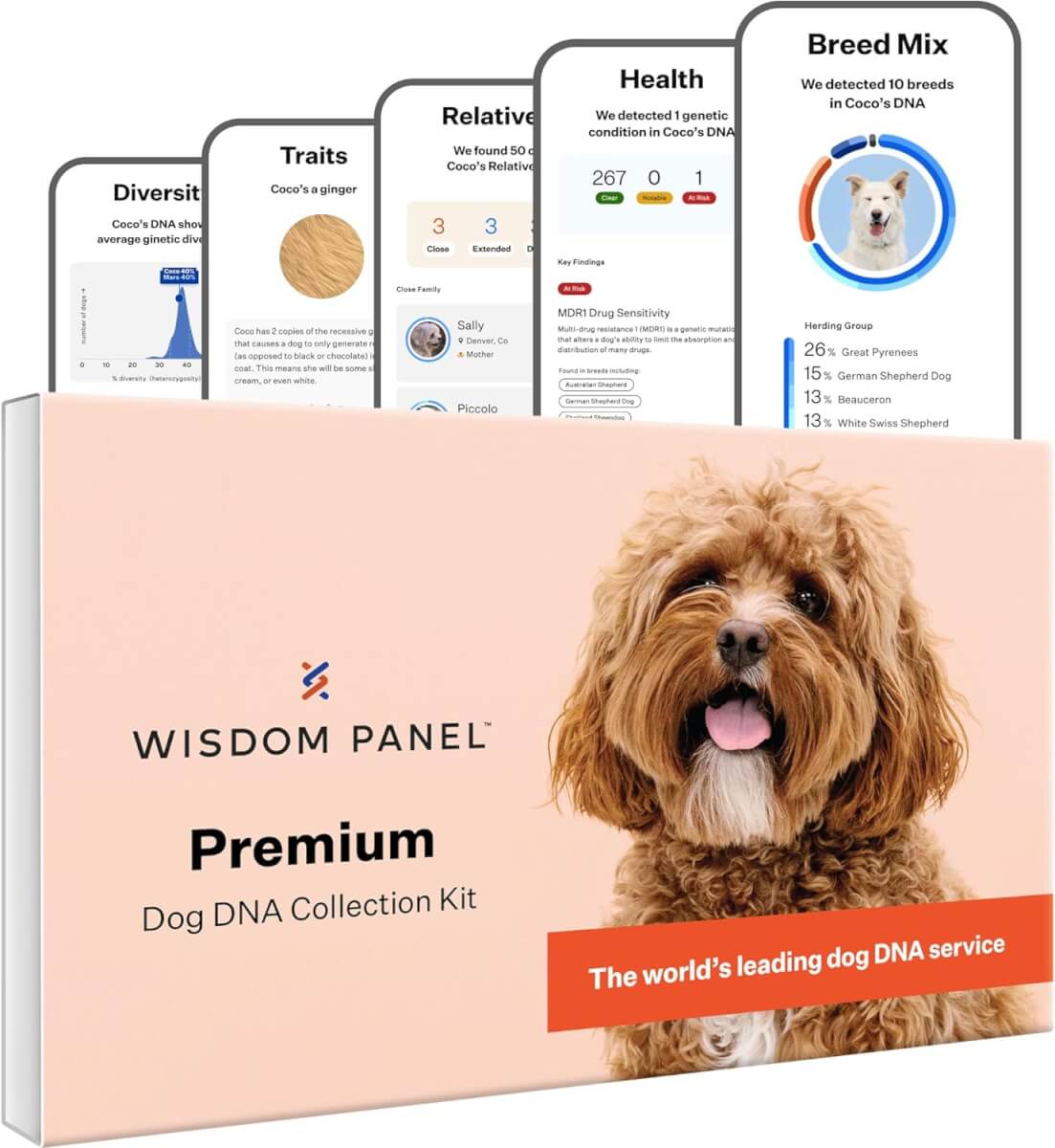 Wisdom Panel Premium Dog DNA Collection Kit