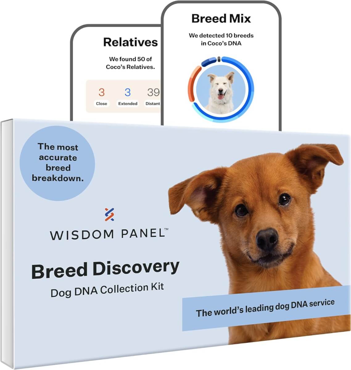 Wisdom Panel Breed Discovery Dog DNA Kit
