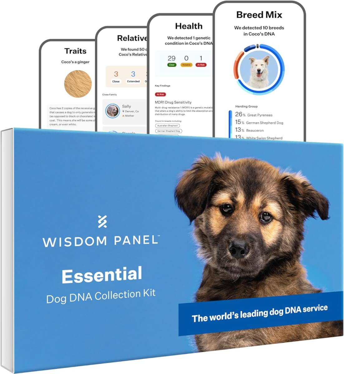 Wisdom Panel Essential Dog DNA Collection Kit