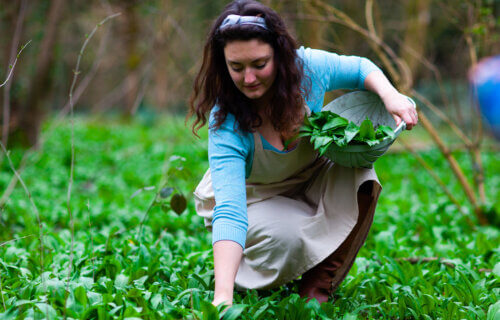 Woman foraging for wild garlic.