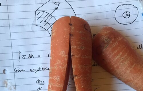 curled carrot on notebook