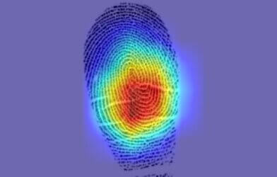 Saliency map highlights areas that contribute to the similarity between the two fingerprints from the same person