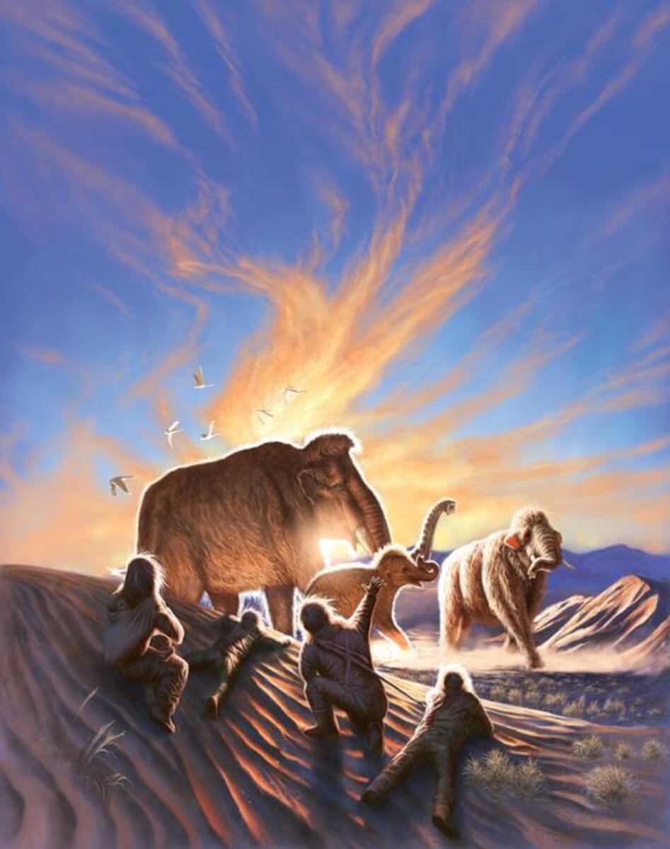 Artwork shows three mammoths being watched by a family of ancient Alaskans from the dunes near the Swan Point archaeological site, a seasonal hunting camp occupied 14,000 years ago