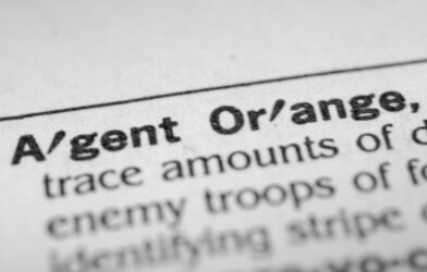 Agent Orange in dictionary