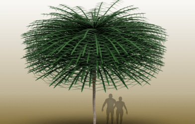 Sanfordiacaulis model with simplified branching structure for easier visualization. Note that humans are provided for scale but did not exist concurrently with the tree.