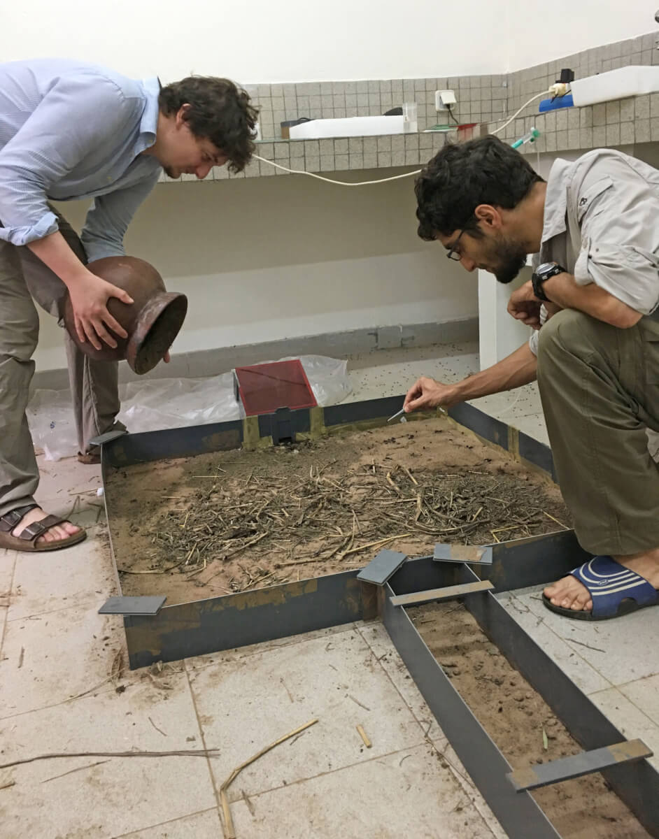 Erik Frank (right) and former Bachelor student Florens Fischer are investigating the behavior of Matabele ants in artificial nests under laboratory conditions.