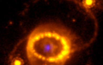 Combination of a Hubble Space Telescope image of SN 1987A and the compact argon source. The faint blue source in the centre is the emission from the compact source detected with the JWST/NIRSpec instrument. Outside this is the stellar debris, containing most of the mass, expanding at thousands of km/second. The inner bright “string of pearls” is the gas from the outer layers of the star that was expelled about 20,000 years before the final explosion. The is the fast debris are now colliding with the ring, explaining the bright spots. Outside of the inner ring are two outer rings, presumably produced by the same process as formed the inner ring. The bright stars to the left and right of the inner ring are unrelated to the supernova. (CREDIT: Hubble Space Telescope WFPC-3/James Webb Space Telescope NIRSpec/J. Larsson)