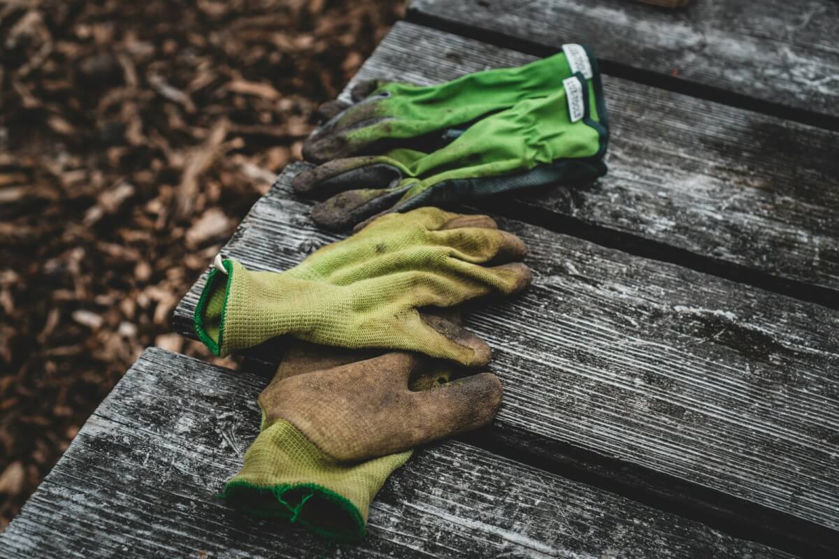 Yellow and green gardening gloves on wooden surface