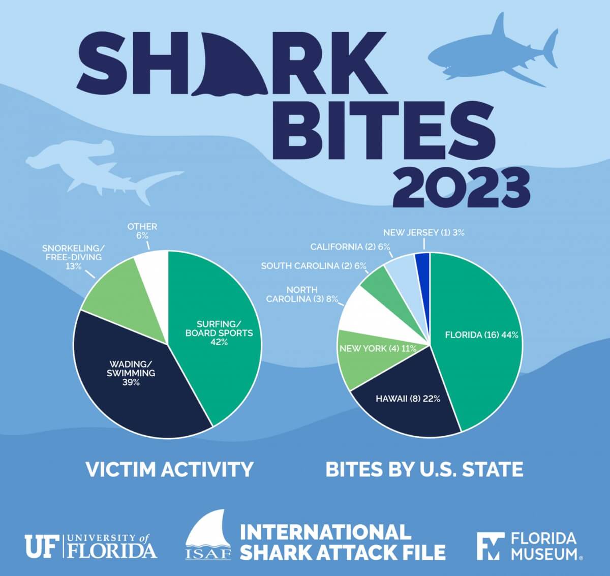 shark attacks in usa