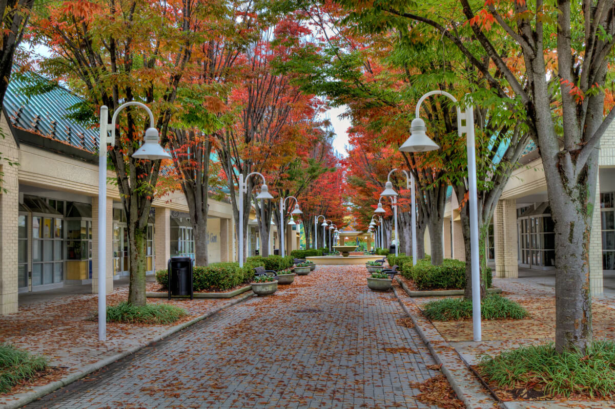 Fall in Columbia, Maryland