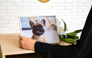 A woman looking at a photo of her dog
