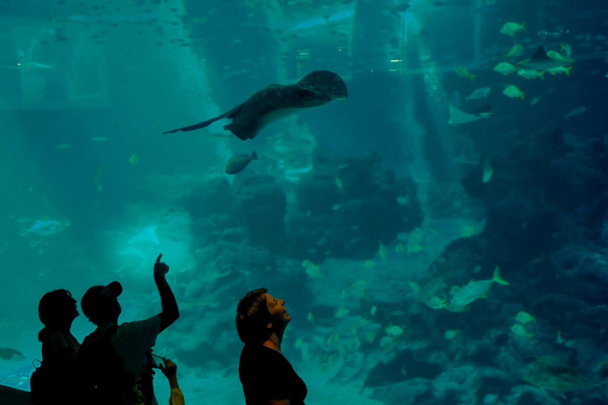 People at an aquarium