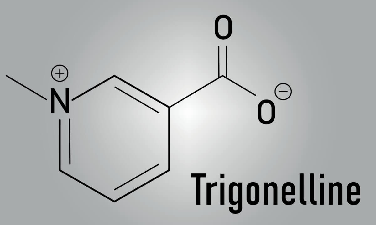 Trigonelline Molecule