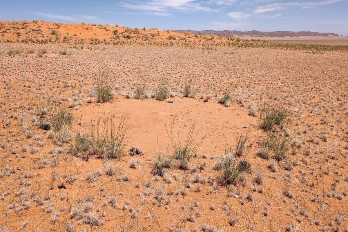 Mystery of 'fairy circles' in Namibia