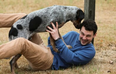 man playing with dog