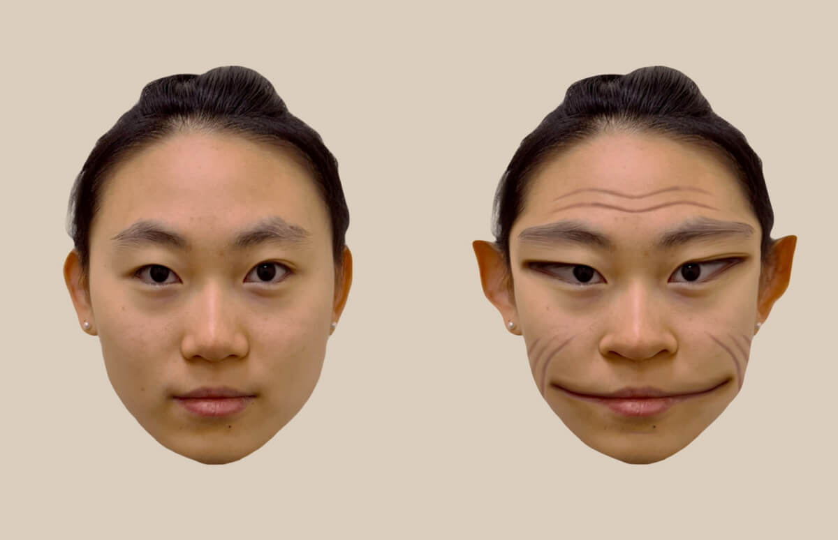 Computer-generated images of the distortions of a female face, as perceived by a patient with prosopometamorphopsia