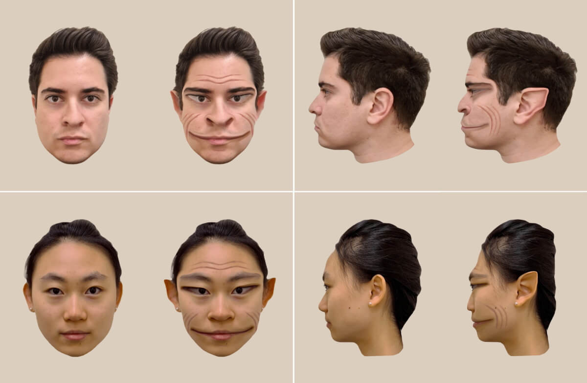 Computer-generated images of the distortions of a male face (top) and female face (bottom), as perceived by a patient with prosopometamorphopsia