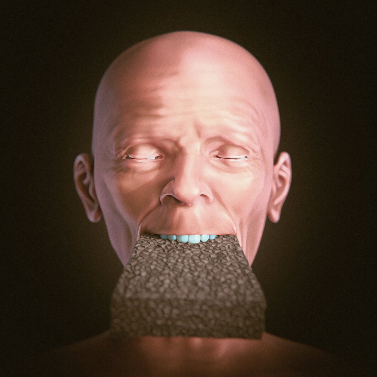 Recreation of the woman's face using 3D software allowed examination whether a brick could have been inserted into her mouth. 