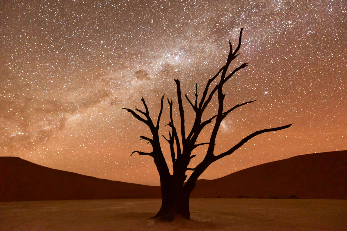 Dead Vlei at dusk in the southern part of the Namib Desert, in the Namib-Naukluft National Park of Namibia